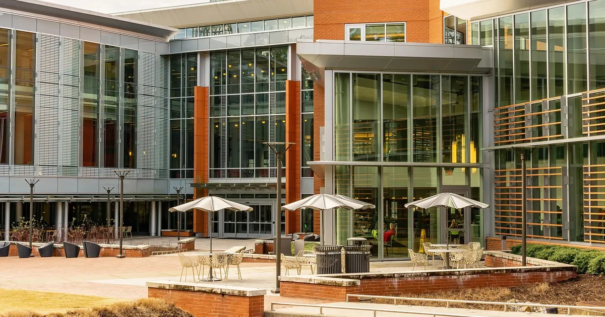 Ivy League vs Public Universities Cost and Outcomes